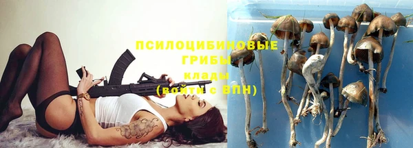 spice Горнозаводск