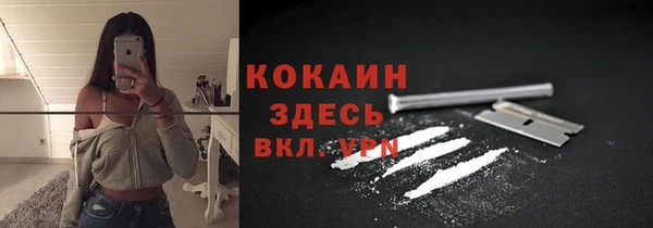 прущие крисы Туринск