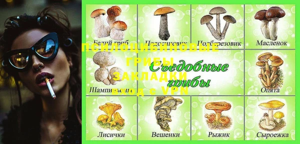 spice Горнозаводск