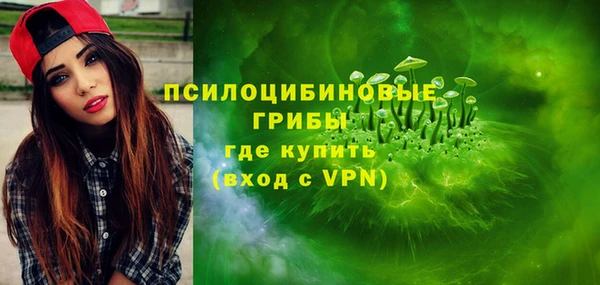 дживик Вязники