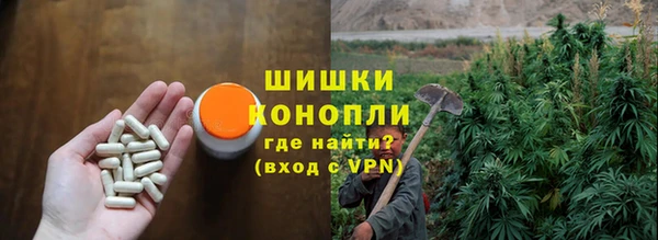 spice Горнозаводск